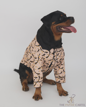 Load image into Gallery viewer, Bat And Bunting Dog Shirt With Bat Wing Collar