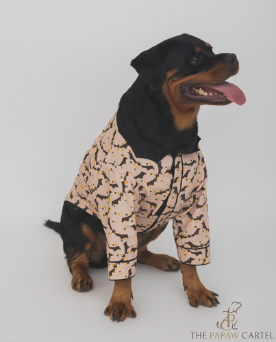 Bat And Bunting Dog Shirt With Bat Wing Collar