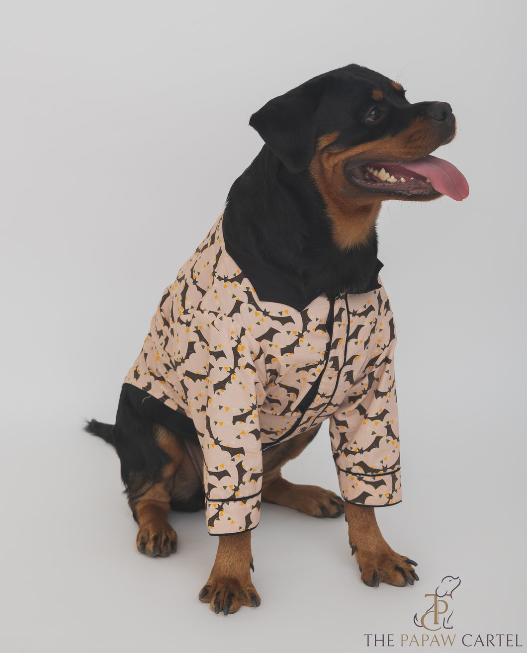 Bat And Bunting Dog Shirt With Bat Wing Collar