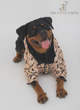 Load image into Gallery viewer, Bat And Bunting Dog Shirt With Bat Wing Collar