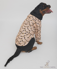 Load image into Gallery viewer, Bat And Bunting Dog Shirt With Bat Wing Collar