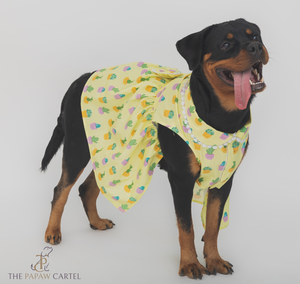 Happy Cactus Dog Dress