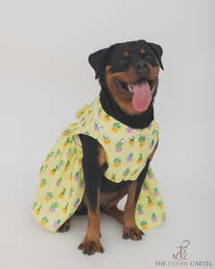 Happy Cactus Dog Dress