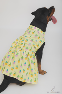 Happy Cactus Dog Dress