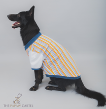 Load image into Gallery viewer, Multi Color Stripe With Denim Collar Dog Tshirt