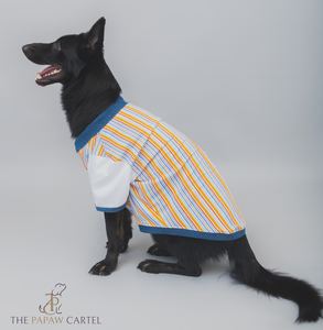 Multi Color Stripe With Denim Collar Dog Tshirt