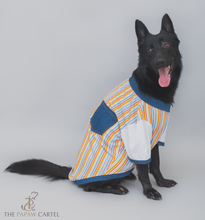 Load image into Gallery viewer, Multi Color Stripe With Denim Collar Dog Tshirt