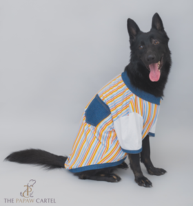 Multi Color Stripe With Denim Collar Dog Tshirt