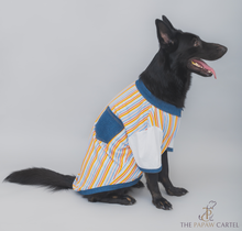 Load image into Gallery viewer, Multi Color Stripe With Denim Collar Dog Tshirt