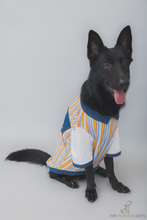 Load image into Gallery viewer, Multi Color Stripe With Denim Collar Dog Tshirt