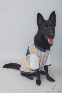 Multi Color Stripe With Denim Collar Dog Tshirt