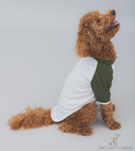 Green White Raglan Sleeve Dog Tshirt