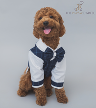 Load image into Gallery viewer, Navy Blue And White Checkered Dog Tuxedo