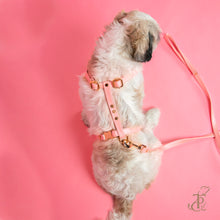 Load image into Gallery viewer, TPC Metallic Blush Harness