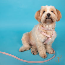 Load image into Gallery viewer, TPC Metallic Blush Leash