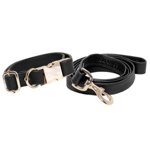 TPC Ebony Black  Leash