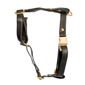 TPC  Ebony Black Harness