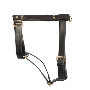 TPC  Ebony Black Harness