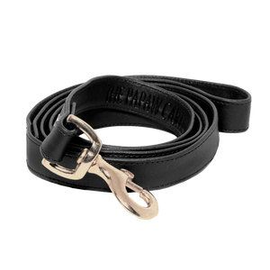 TPC Ebony Black  Leash