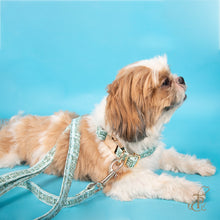 Load image into Gallery viewer, TPC Dog and Paw Blue Leash