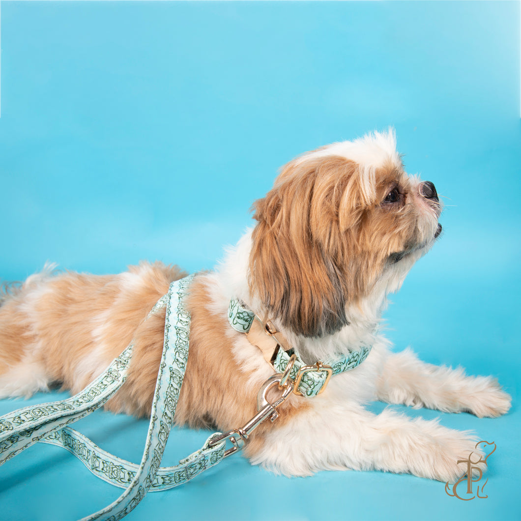 TPC Dog and Paw Blue Leash