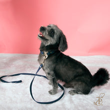 Load image into Gallery viewer, TPC Oxford Blue Suede Leash