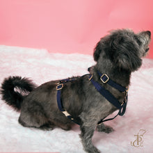 Load image into Gallery viewer, TPC Oxford Blue Suede Harness