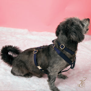 TPC Oxford Blue Suede Harness