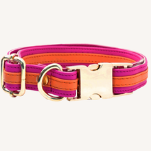 Load image into Gallery viewer, TPC Tangerine Ballet Collar