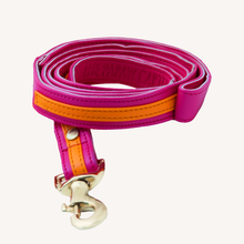 Load image into Gallery viewer, TPC Tangerine Ballet Leash