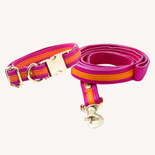 Load image into Gallery viewer, TPC Tangerine Ballet Collar