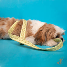 Load image into Gallery viewer, TPC Dog and Paw Green Leash