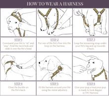 Load image into Gallery viewer, TPC Stolen Kisses - Croc Textured Harness