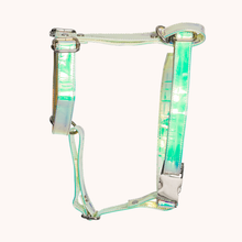 Load image into Gallery viewer, TPC Iridescent Harness