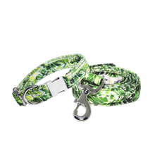 Load image into Gallery viewer, TPC Green Leaf Box Leash