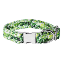 Load image into Gallery viewer, TPC Green Leaf Box Collar