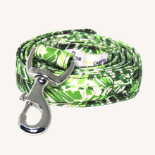 Load image into Gallery viewer, TPC Green Leaf Box Leash