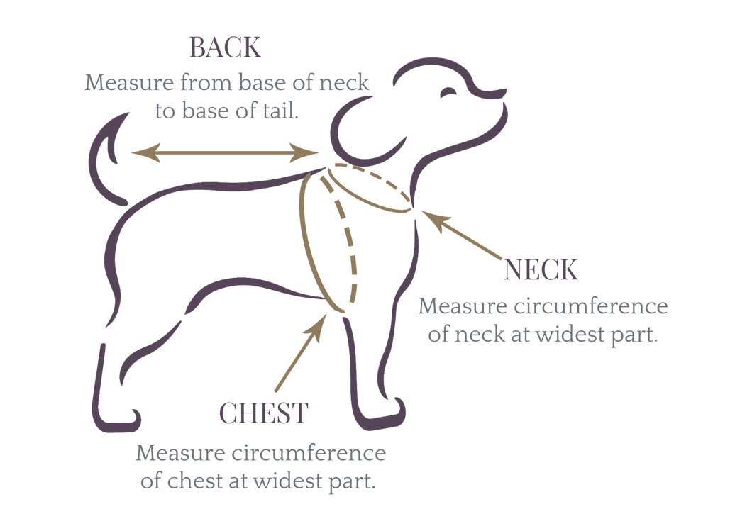 TPC Loco Mint Harness