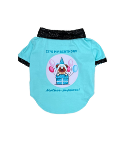 Shimmery Birthday Dog Tshirt