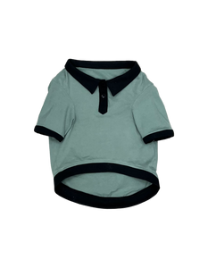 Sage Green Polo Dog Tshirt