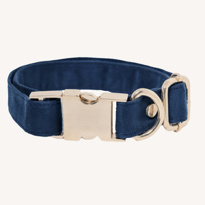 TPC Oxford Blue Suede Collar