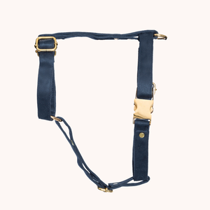 TPC Oxford Blue Suede Harness