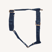 Load image into Gallery viewer, TPC Oxford Blue Suede Harness