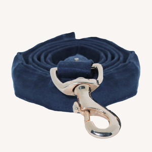 TPC Oxford Blue Suede Leash