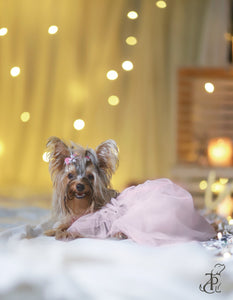 Pretty In Pink Ruffled Dress