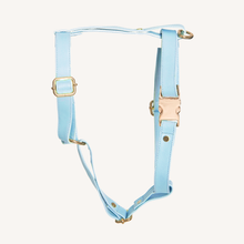 Load image into Gallery viewer, TPC Paw-Der Blue Harness