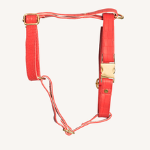 Load image into Gallery viewer, TPC Stolen Kisses - Croc Textured Harness