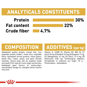 Royal canin persian adult Dry Cat Food