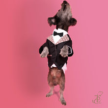 Load image into Gallery viewer, TPC Tuxedo Set With Jacket, Shirt &amp; Bow